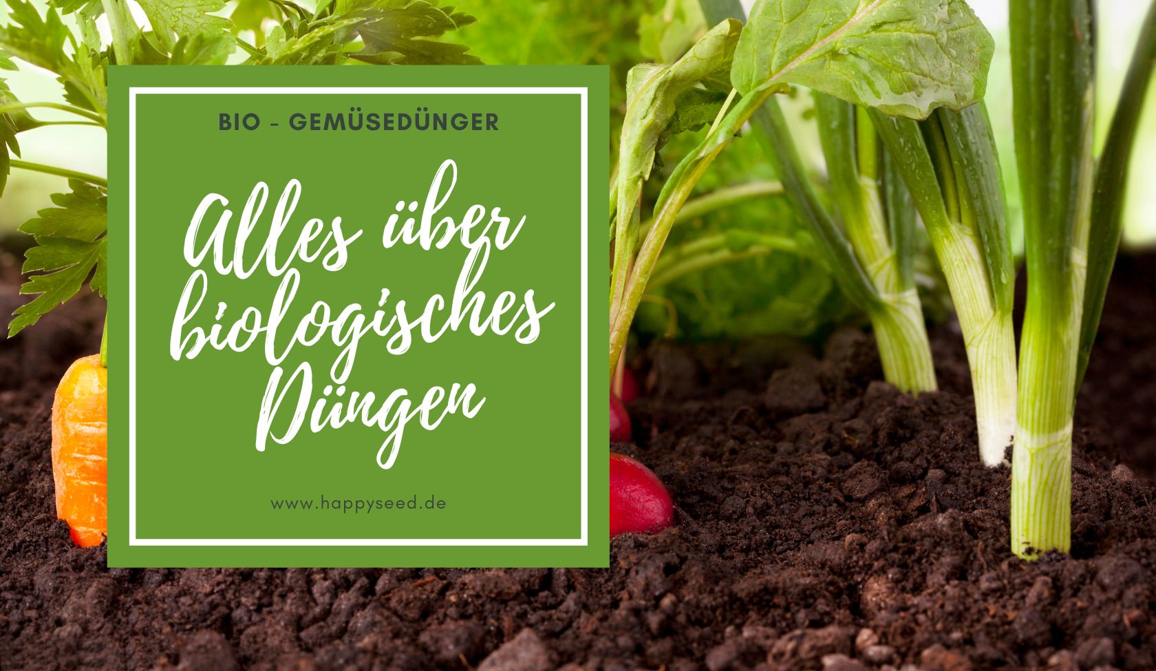 Gemse richtig dngen - Der beste Gemse Dnger im BIO Garten  HappySeed
