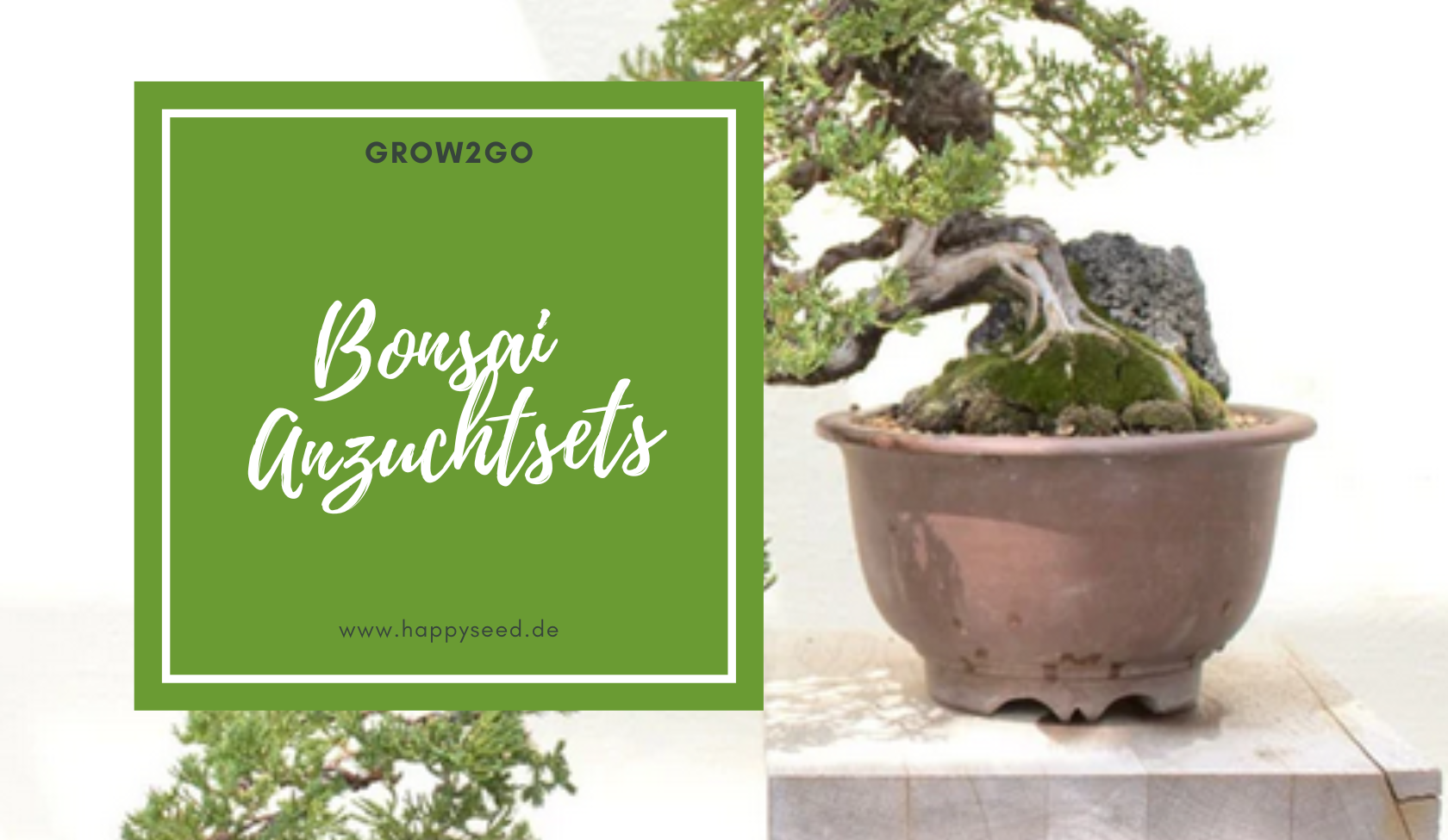 Bonsai Anzuchtset - Pflanze deinen eigenen Bonsai  HappySeed
