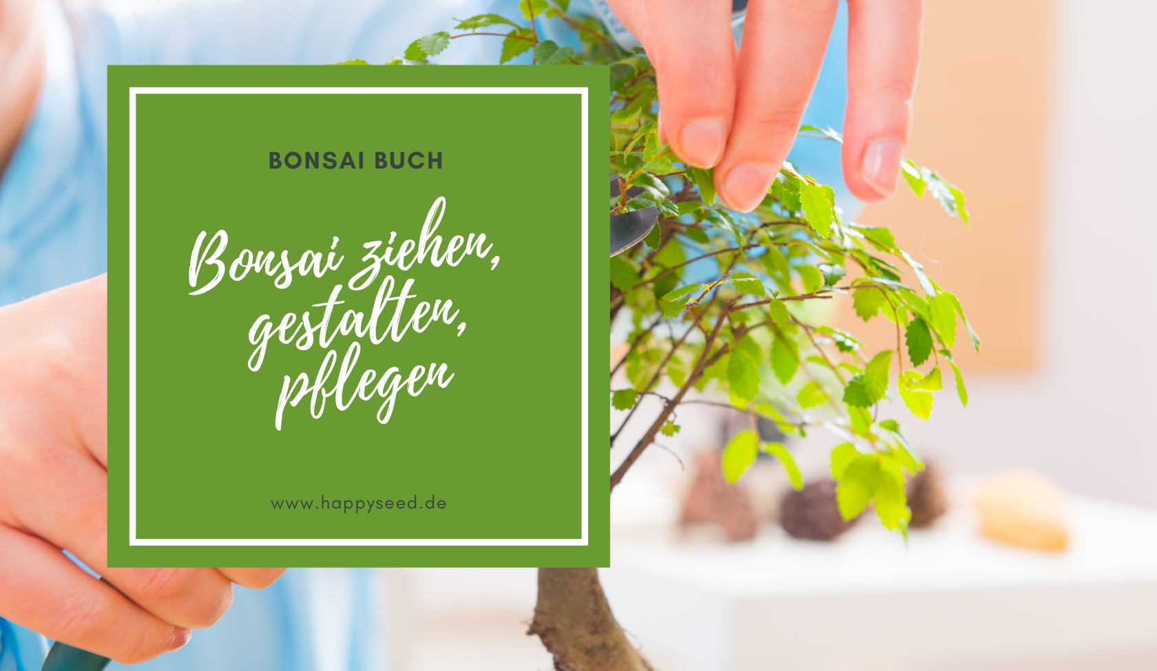 Bonsai Buch - Bonsai ziehen, gestalten und pflegen von Johann Kast   HappySeed