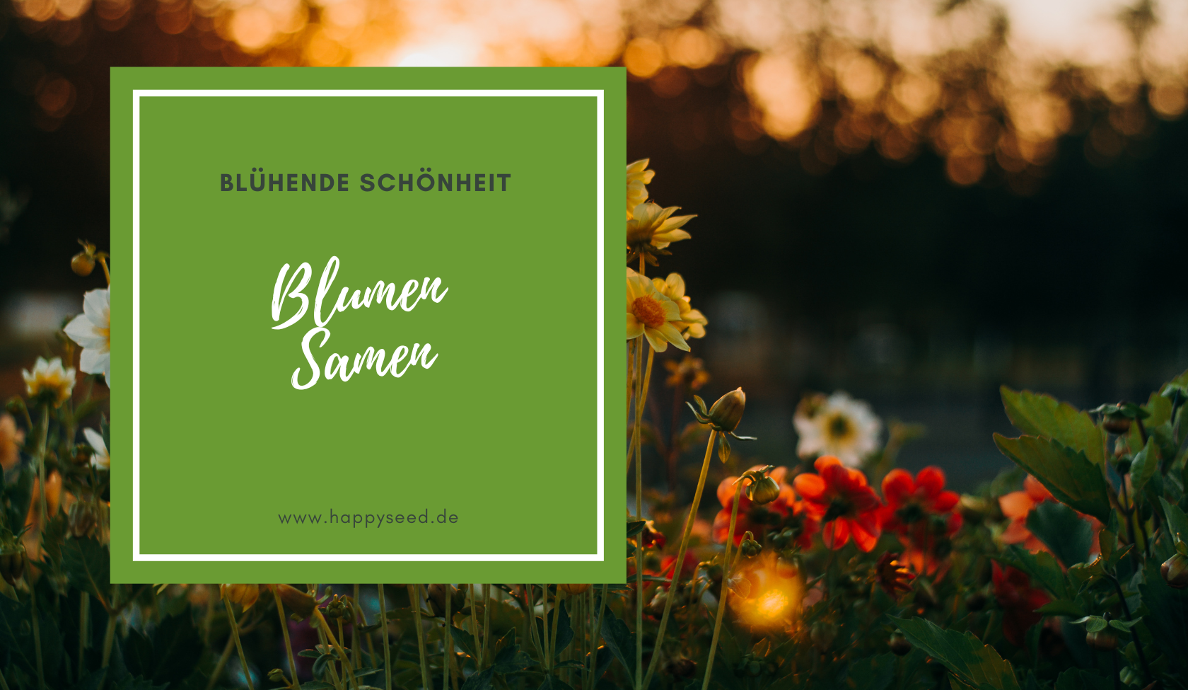 Blumen Samen kaufen: Tipps fr eine erfolgreiche Gartenblte  HappySeed