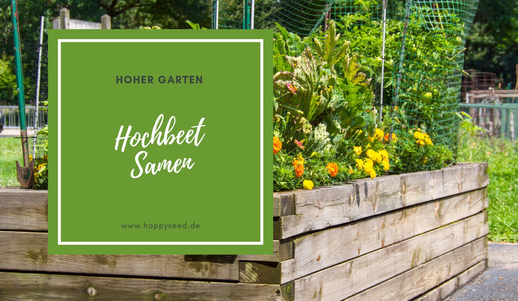 Samen fr Hochbeet - Gemsesamen fr dein Bio Hochbeet  HappySeed