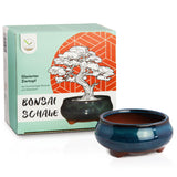 Bonsai Schale aus Keramik in Marineblau - 9,5 x 4,5 x 9,5 cm - HappySeed