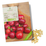 BIO Chili Samen (Ciliegia Piccante, 15.000 Scoville) - Chili Saatgut aus biologischem Anbau (10 Korn) - HappySeed