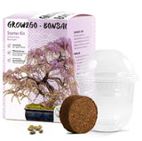 GROW2GO Bonsai Starter Kit inkl. GRATIS eBook - Afrikanischer Blauregen - HappySeed