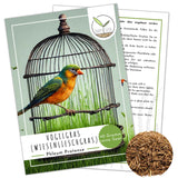 Vogelgras Samen (Phleum pratense)