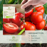 BIO Tomatensamen (Matina) - Tomaten Saatgut aus biologischem Anbau (10 Korn) - HappySeed
