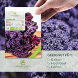 BIO Grünkohl Samen (Redbor) - Grünkohl Saatgut aus biologischem Anbau (25 Korn) - HappySeed