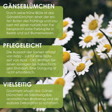Gänseblümchen Samen - Bellis perennis - HappySeed