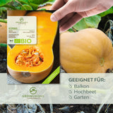 BIO Kürbis Samen (Butternut) - Kürbis Saatgut aus biologischem Anbau (6 Korn) - HappySeed
