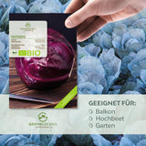 BIO Rotkohl Samen (Red Drumhead) - Rotkohl Saatgut aus biologischem Anbau (125 Korn) - HappySeed
