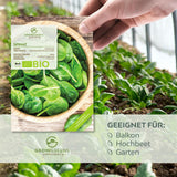 BIO Spinat Samen (Winterriese) - Winterspinat Saatgut aus biologischem Anbau (125 Korn) - HappySeed