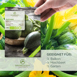 BIO Zucchini Samen Rund (Tondo di Nizza) - Zucchini Saatgut aus biologischem Anbau (5 Korn) - HappySeed