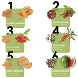 Obst Samen Set mit 6 exotischen Sorten - HappySeed