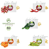 BIO Chilisamen Set (5 Sorten) - Chili Saatgut aus biologischem Anbau - HappySeed