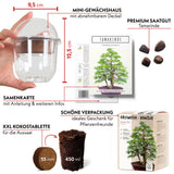 GROW2GO Bonsai Starter Kit inkl. GRATIS eBook - Tamarinde - HappySeed