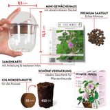 GROW2GO Mimose Starter Kit - Pflanzset aus Mini-Gewächshaus, Mimose Samen & Erde - HappySeed