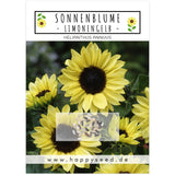 Sonnenblumen Samen - Helianthus annuus (Limonengelb) - HappySeed