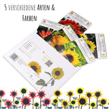 Farbenfrohe Sonnenblumen Samen mit hoher Keimrate - 5er Set - HappySeed