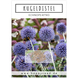 Kugeldistel Samen - Echinops ritro - HappySeed