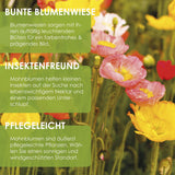 Islandmohn Samen - Papaver nudicaule (Mix) - HappySeed