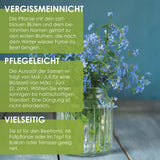 Vergissmeinnicht Samen - Myosotis - HappySeed