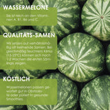 Wassermelone Samen - Citrullus lanatus - HappySeed