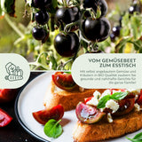 BIO Tomatensamen (Black Cherry) - Tomaten Saatgut aus biologischem Anbau (10 Korn) - HappySeed