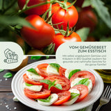 BIO Tomatensamen (Matina) - Tomaten Saatgut aus biologischem Anbau (10 Korn) - HappySeed