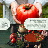 BIO Tomatensamen (Rouge de Marmande) - Tomaten Saatgut aus biologischem Anbau (10 Korn) - HappySeed