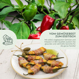 BIO Chili Samen (Early Jalapeno, 5.000 Scoville) - Chili Saatgut aus biologischem Anbau (10 Korn) - HappySeed