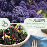 BIO Grünkohl Samen (Redbor) - Grünkohl Saatgut aus biologischem Anbau (25 Korn) - HappySeed