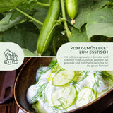 BIO Gurken Samen (Marketmore) - Salatgurke Saatgut aus biologischem Anbau (10 Korn) - HappySeed
