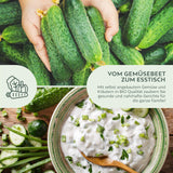 BIO Gurken Samen (Vorgebirgstraube) - Einlegegurken Saatgut aus biologischem Anbau (10 Korn) - HappySeed