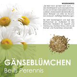 Gänseblümchen Samen - Bellis perennis - HappySeed