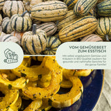 BIO Kürbis Samen (Delicata) - Kürbis Saatgut aus biologischem Anbau (6 Korn) - HappySeed