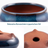 Bonsai Schale aus Keramik in Marineblau - 9,5 x 4,5 x 9,5 cm - HappySeed