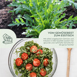 BIO Rucola Samen (Diplotaxis tenuifolia) - Wilde Rauke Saatgut aus biologischem Anbau (750 Korn) - HappySeed