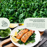 BIO Spinat Samen (Matador) - Spinat Saatgut aus biologischem Anbau (150 Korn) - HappySeed