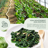 BIO Spinat Samen (Winterriese) - Winterspinat Saatgut aus biologischem Anbau (125 Korn) - HappySeed