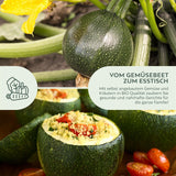 BIO Zucchini Samen Rund (Tondo di Nizza) - Zucchini Saatgut aus biologischem Anbau (5 Korn) - HappySeed