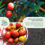 BIO Chili Samen (Ciliegia Piccante, 15.000 Scoville) - Chili Saatgut aus biologischem Anbau (10 Korn) - HappySeed
