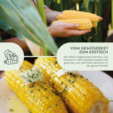 BIO Zuckermais Samen (Golden Bantam) - Mais Saatgut aus biologischem Anbau (30 Korn) - HappySeed