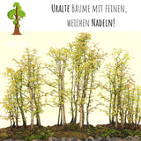 Berg Mammutbaum Samen - Sequoia giganteum (Bonsai) - HappySeed