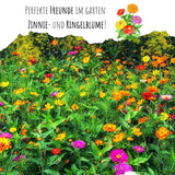Zinnien Samen - Zinnia (Mix) - HappySeed
