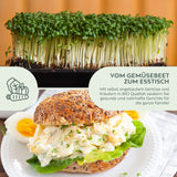 BIO Kressesamen - Küchenkräuter Saatgut aus biologischem Anbau ideal (2000 Korn) - HappySeed