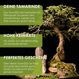 GROW2GO Bonsai Starter Kit inkl. GRATIS eBook - Tamarinde - HappySeed