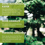 GROW2GO Bonsai Starter Kit inkl. GRATIS eBook - Australische Kiefer - HappySeed