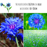 Kornblumen Samen (Centaurea cyanus) - Blau, 1000 Korn, 80 cm - HappySeed