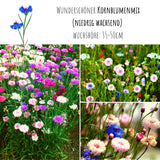 Kornblumen Samen (Centaurea cyanus) - Mini Mix, 1000 Korn, 50 cm - HappySeed