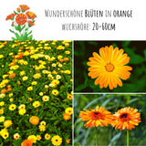 Ringelblumen Samen - Calendula Officinalis (Gelb/Orange) - HappySeed